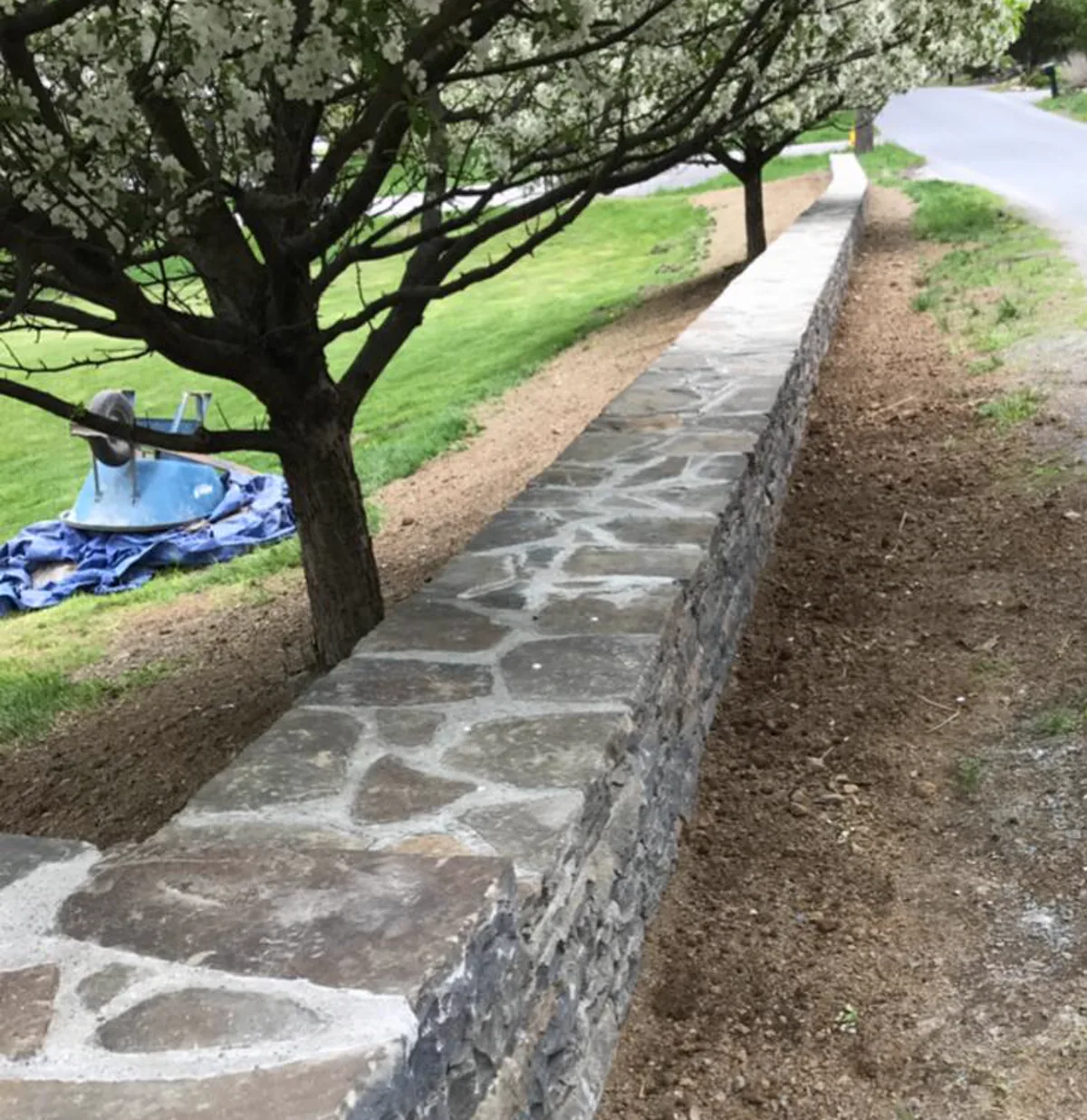 Natural stone wall and landscape edge